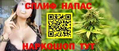 гидропоника Пугачёв