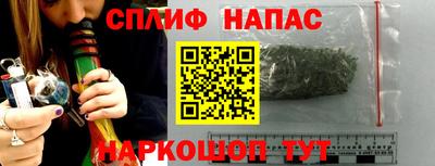 гидропоника Пугачёв