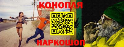 гидропоника Пугачёв