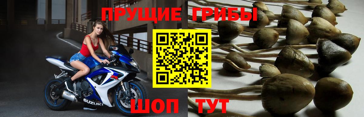 Галлюциногенные грибы Psilocybe  Псилоцибиновые грибы MAGIC MUSHROOMS  Вход с VPN  Трёхгорный 