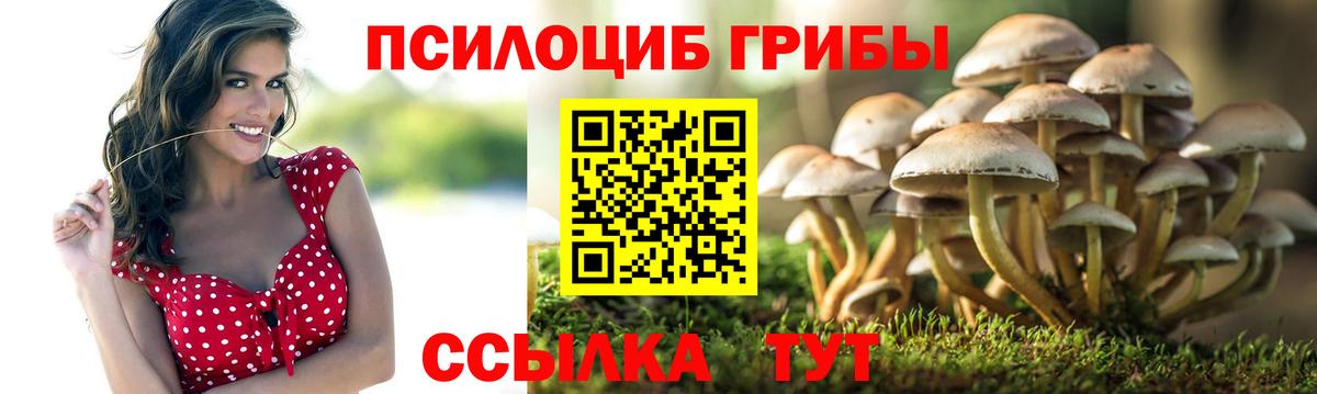 Галлюциногенные грибы мухоморы Трёхгорный